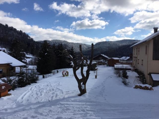 Le Chalet De La Deviniere, Bain Nordique Exterieur Chauffe Xonrupt-Longemer Buitenkant foto