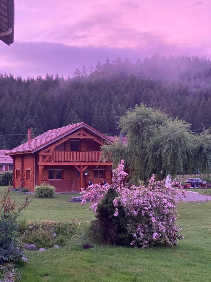 Le Chalet De La Deviniere, Bain Nordique Exterieur Chauffe Xonrupt-Longemer Buitenkant foto